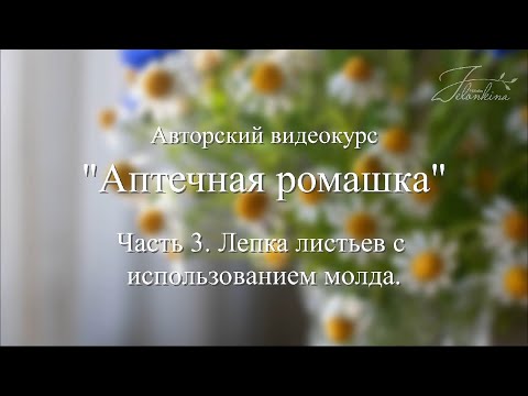 Видео: Часть 3. Аптечная ромашка. Лепка листьев с помощью молда.