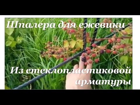 Видео: Как сделать шпалеру (опору) для ежевики из стеклопластиковой арматуры