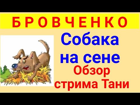Видео: Бровченко.  Обзор влогов. 15 04 2025 Бровченко
