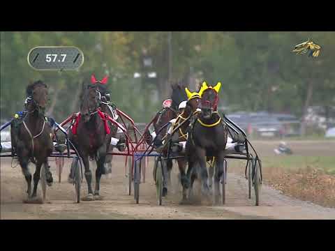 Видео: 11-й Заезд. ПРИЗ Золотая Колесница. Новосибирский ипподром. 17.09.2022