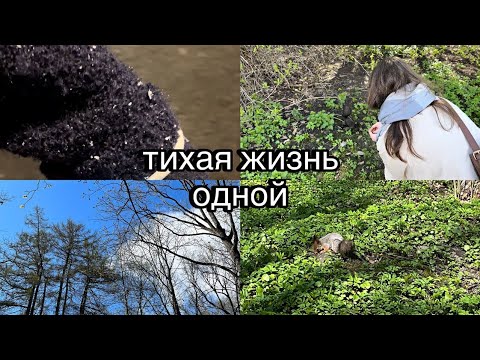 Видео: тихая жизнь одной | Елагин остров, рабочие будни, снег в Петербурге и много кофе