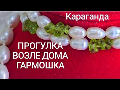 Видео: ИНДИЙСКИЙ МАГАЗИН,ЮЖНЫЙ В ГАРМОШКЕ #Караганда 