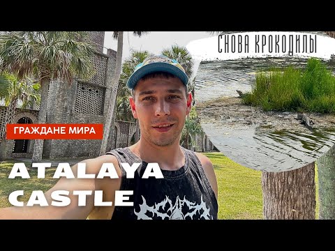 Видео: Снова крокодилы Atalaya Castle Huntington beach state park.