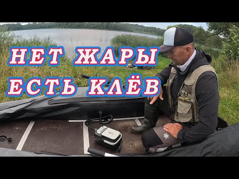 Видео: НЕТ ЖАРЫ Есть КЛЁВ! Поклёвка ОКУНЯ В КГ! Насос Marine Rocket! БОЛЬШЕ лягушкой Качать не нужно!