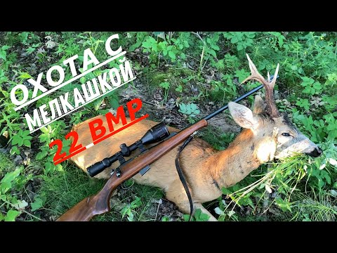 Видео: ОХОТА НА КОСУЛЮ  С МЕЛКАШКОЙ 22 ВМР ДОБЫЛ ТРОФЕЙ