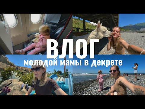 Видео: ОДНА в Сочи С РЕБЁНКОМ 🏝️✈️ Сколько потратили ? 💸 Сочи Парк 🎡🎢 Роза Хутор ⛰️ Альпака Парк 🦙 ЗООПАРК