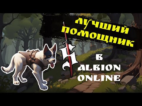 Видео: Софт, который сделает игру в Albion чуть более комфортной. НЕ ЧИТ | Результат розыгрыша