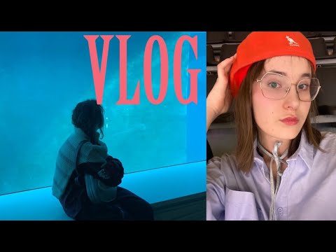 Видео: ВЛОГ🐚 весна, океанариум, учеба🪸
