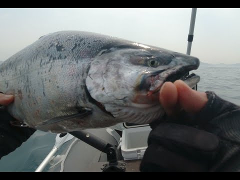 Видео: 17.05.2023. НАХОДКА  ДУПЛЕТ 🐟🐟... ТРОЛЛИНГ , УТРЯНКА , СИМА !!!