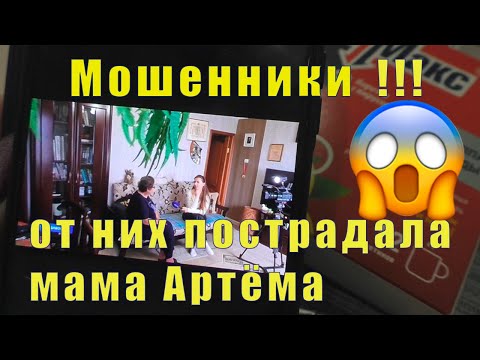 Видео: РАЗНАЯ СОБАЧЬЯ ЖИЗНЬ / КАК ЗЕМЛЯ ТАКИХ НОСИТ ? 20 / 21 и 22 октября 2025