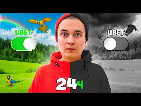 Видео: 24 часа ПРОЖИЛ БЕЗ ЦВЕТА