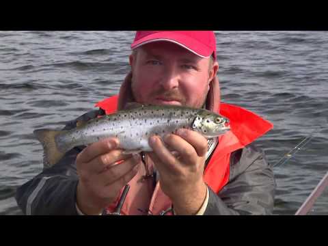 Видео: Рыбалка в Карелии на Пяозере \ Ни хвоста, ни чешуи. Сезон 1.