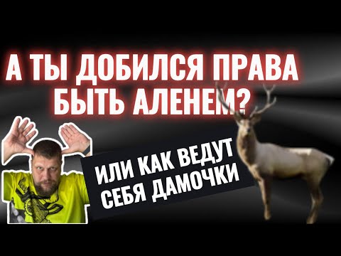 Видео: А ТЫ ДОБИЛСЯ? ЗАСЛУЖИЛ?
