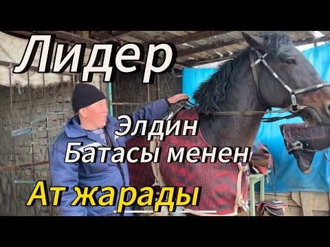 Видео: Кубаныч Саяпкер менен майек Лидер Ноокатда жакшы жарады