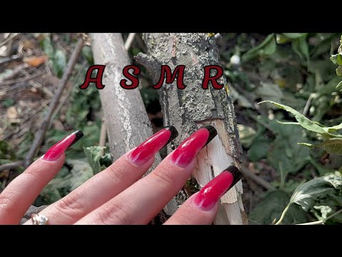 Видео: ASMR 🌱 АСМР НА УЛИЦЕ 🍃 ЗВУКИ ПРИРОДЫ