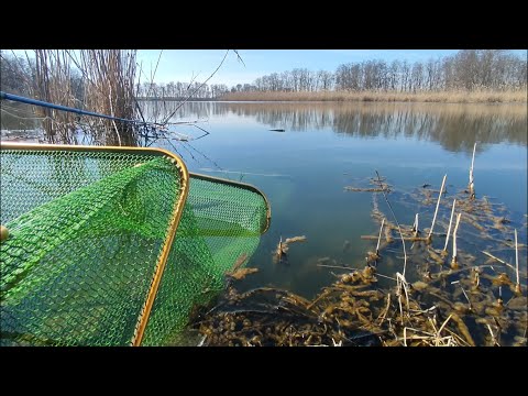 Видео: ПРИЕХАЛ НА РЫБАЛКУ. ВЕСЕННИЙ КЛЕВ НАЧАЛСЯ