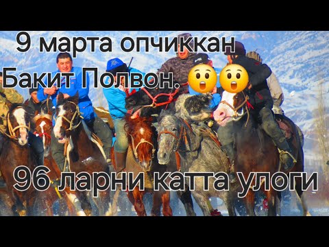 Видео: 😲😲 Сафед Булонда хали бунака улок булмаган 😲😲 1-кисм