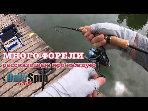 Видео: Ловля ФОРЕЛИ. Спортивные хитрости. Кубок МФК. Рыбалка с #OnlySpin