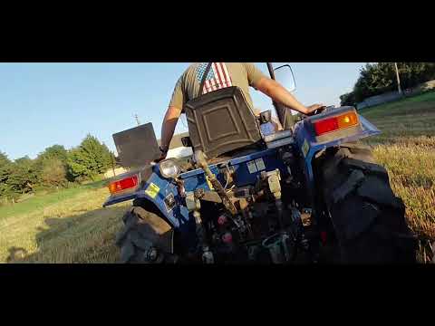Видео: ,,*Яка пшениця вродила в 2025 році.*..#farming #agriculture #без добрив#farmer 