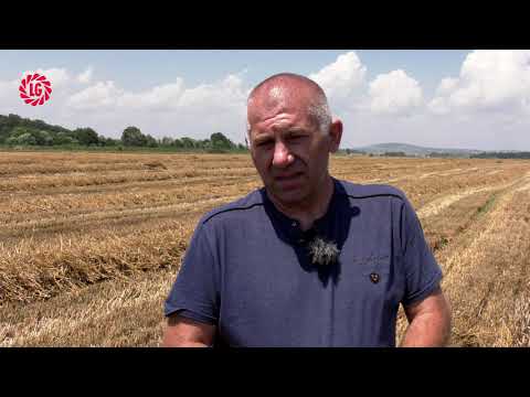 Видео: РЕЗУЛТАТИ ОТ NO-TILL ТЕХНОЛОГИЯ ПРИ ПШЕНИЦА АВЕНЮ-ИНОВАЦИИ И НОВИ РЕШЕНИЯ В ЗЕМЕДЕЛИЕТО ОТ ЛИМАГРЕЙН
