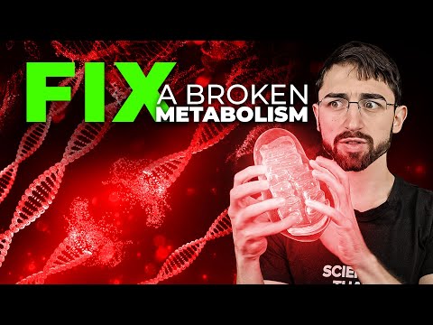Видео: Как исправить нарушенный метаболизм