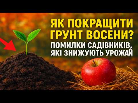Видео: Як покращити ґрунт восени? 🌱 Помилки садівників, які знижують урожай.