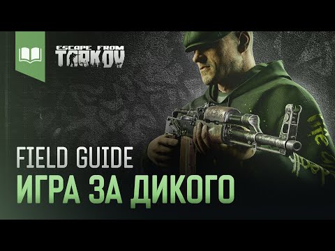 Видео: Field Guide #8: Игра за Дикого
