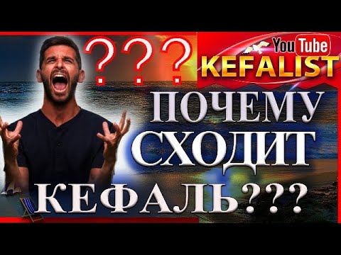 Видео: КАК ИСКЛЮЧИТЬ СХОД РЫБЫ  -  КЕФАЛЬ, почему сходит рыба - кефаль,  что делать чтоб рыба не сошла
