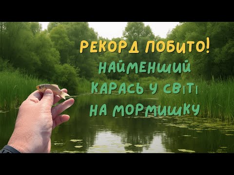 Видео: Карась на мормишку! 🎣 Найменший трофей у світі!