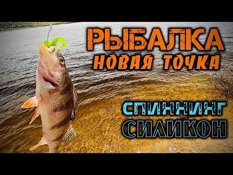 Видео: Рыбалка. Спиннинг, силикон. Новая точка.