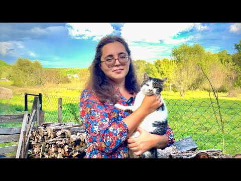 Видео: Вкрали кота.