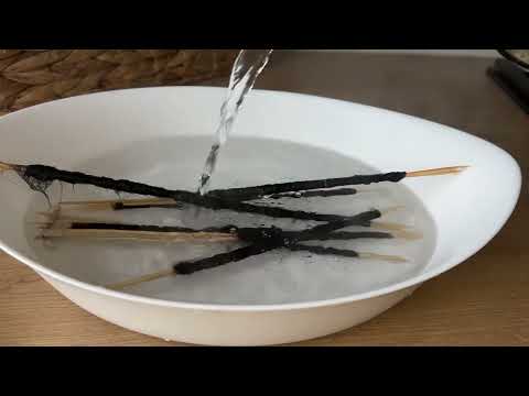 Видео: 12 июля 2024 г.