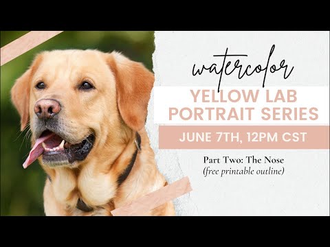 Видео: Как нарисовать нос собаки — Серия акварельных портретов жёлтого лабрадора — Часть 2