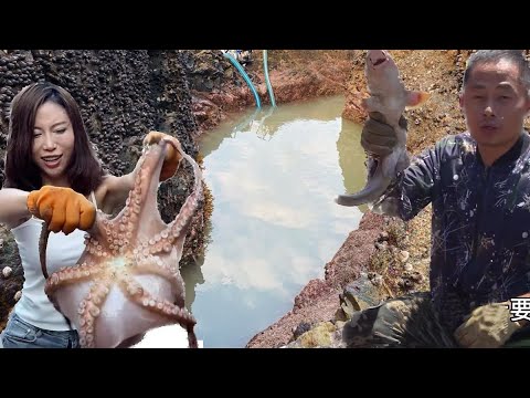 Видео: Используя волосяной хвост в качестве приманки, было добыто много осьминогов и угрей.