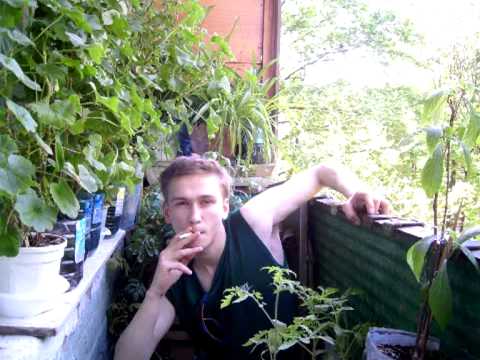 Видео: Рабы Лампы - Посвящение