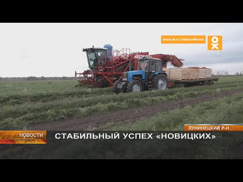 Видео: СТАБИЛЬНЫЙ УСПЕХ «НОВИЦКИХ»