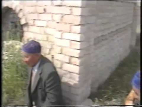 Видео: Балталы-5 продолжение