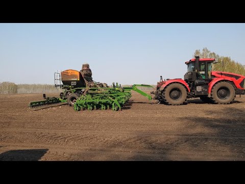 Видео: Кировец 739ст1 с комплексом амазон дмс на горохе