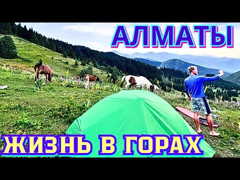 Видео: Как Жить в Горах Босиком⁉️Обзор 100-летнего Топового Бот Сада АЛМАТЫ После Реконструкции с STARBUCKS