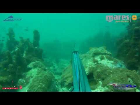 Видео: Mares Adventure: подводная охота в Паттайе