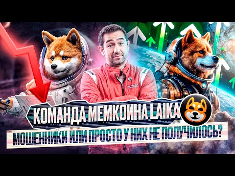 Видео: Команда мемкоина LAIKA - мошенники или просто у них не получилось?