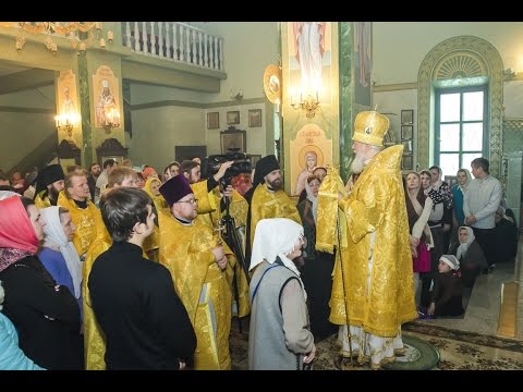 Видео: Можно ли разрешить проблемы? Притча об исцелении слепорожденного.