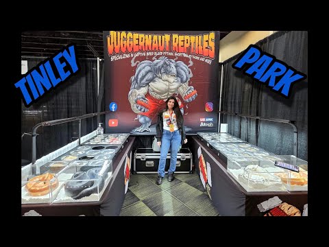 Видео: Октябрь 2025 г. — выставка рептилий в парке Тинли!