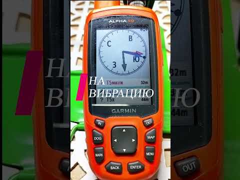 Видео: Ошейник T20 и его датчики лая Bark Detect  hd. какой датчик лая?