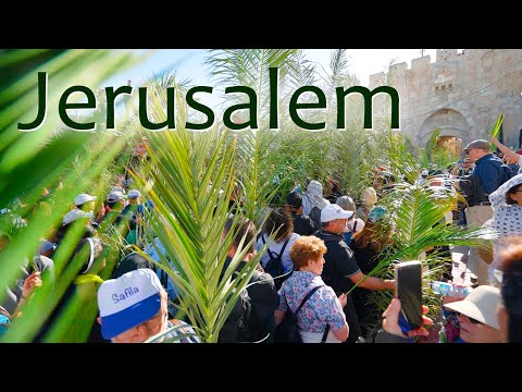 Видео: Иерусалим празднует Вербное воскресенье 🌿🌿🌿💚