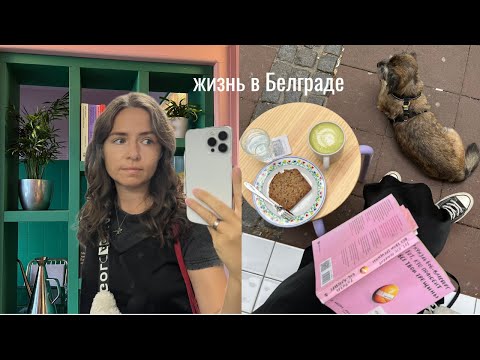 Видео: Белградский влог I пробежала 10К, закрываем сезон бассейнов, библиотека в баре