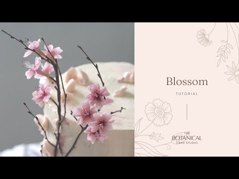 Видео: Мастер-класс по созданию сахарного цветка (из мастики/цветочной пасты)
