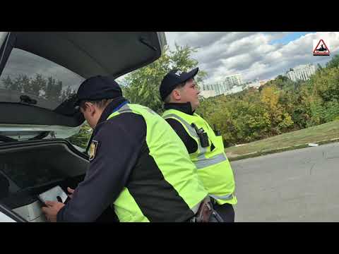Видео: Кишинев 05.10.25 цирк у цирка 