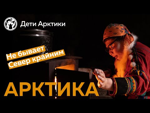 Видео: Арктика. Где это и что там делать?