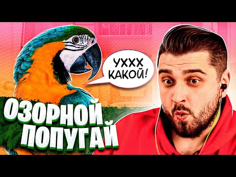Видео: HARD PLAY СМОТРИТ ТЕМНАЯ СТОРОНА 11 МИНУТ СМЕХА МАЙ 2019 ЗАСМЕЯЛСЯ ПРОИГРАЛ